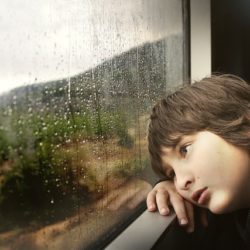 TFTBO-PensiveBoyinWindow